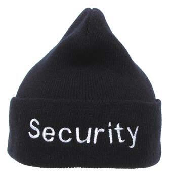 hue security 10930a